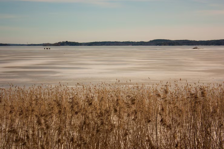 Self-Care Sunday: A Ritual for Mind, Body, and Soul